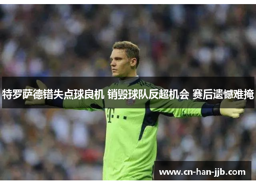 特罗萨德错失点球良机 销毁球队反超机会 赛后遗憾难掩